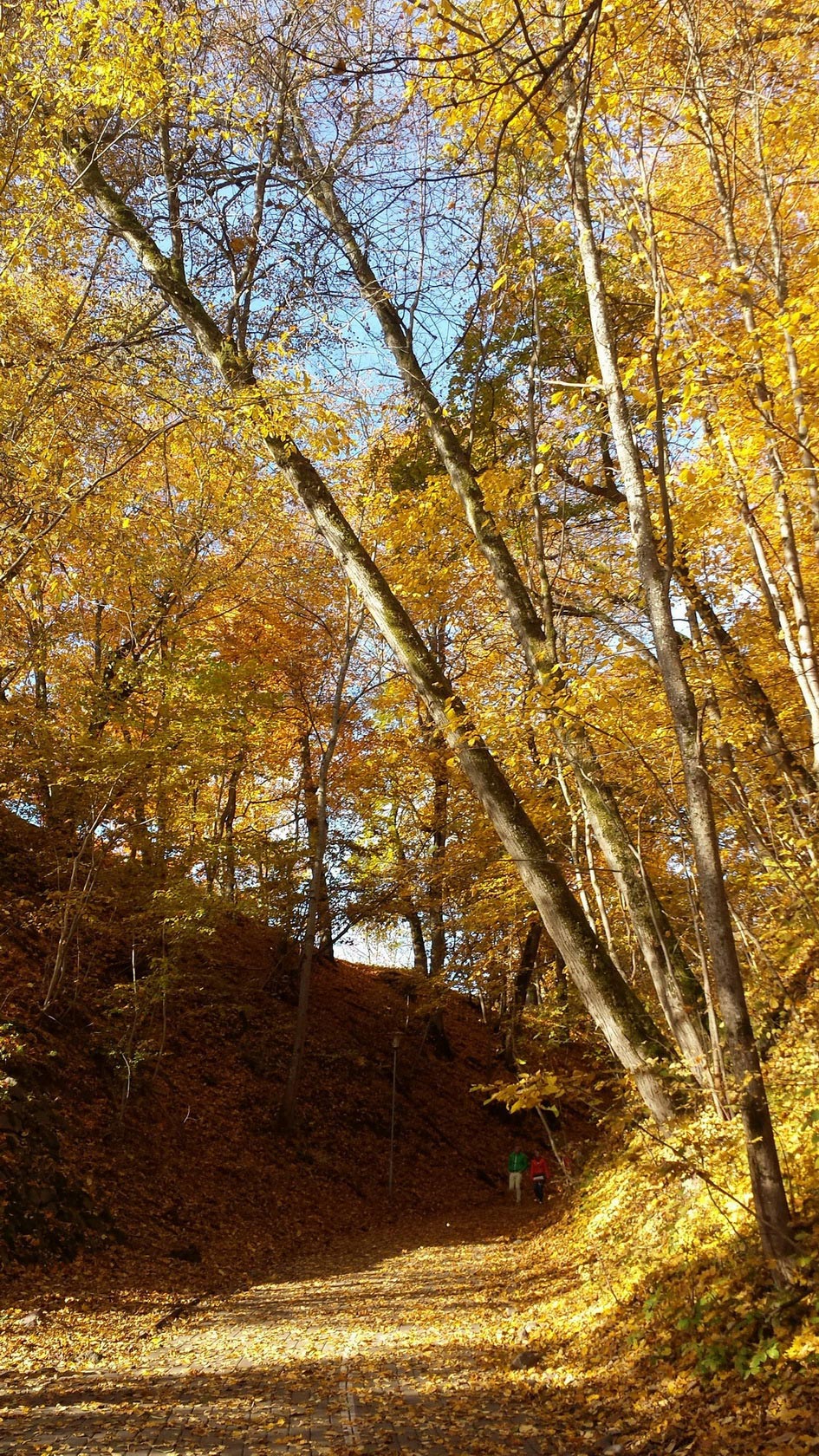 Cycling in Sigulda - Gauja National Park Tour