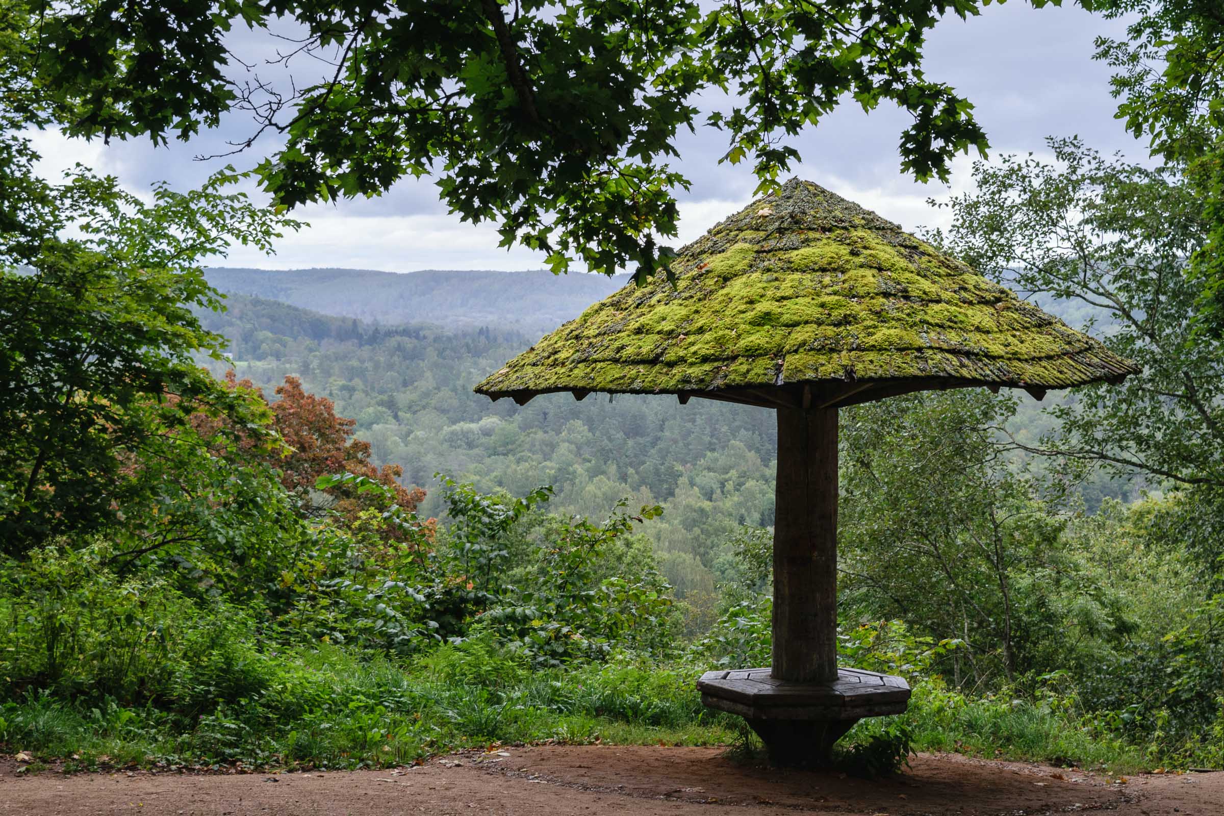 Cycling in Sigulda - Gauja National Park Tour