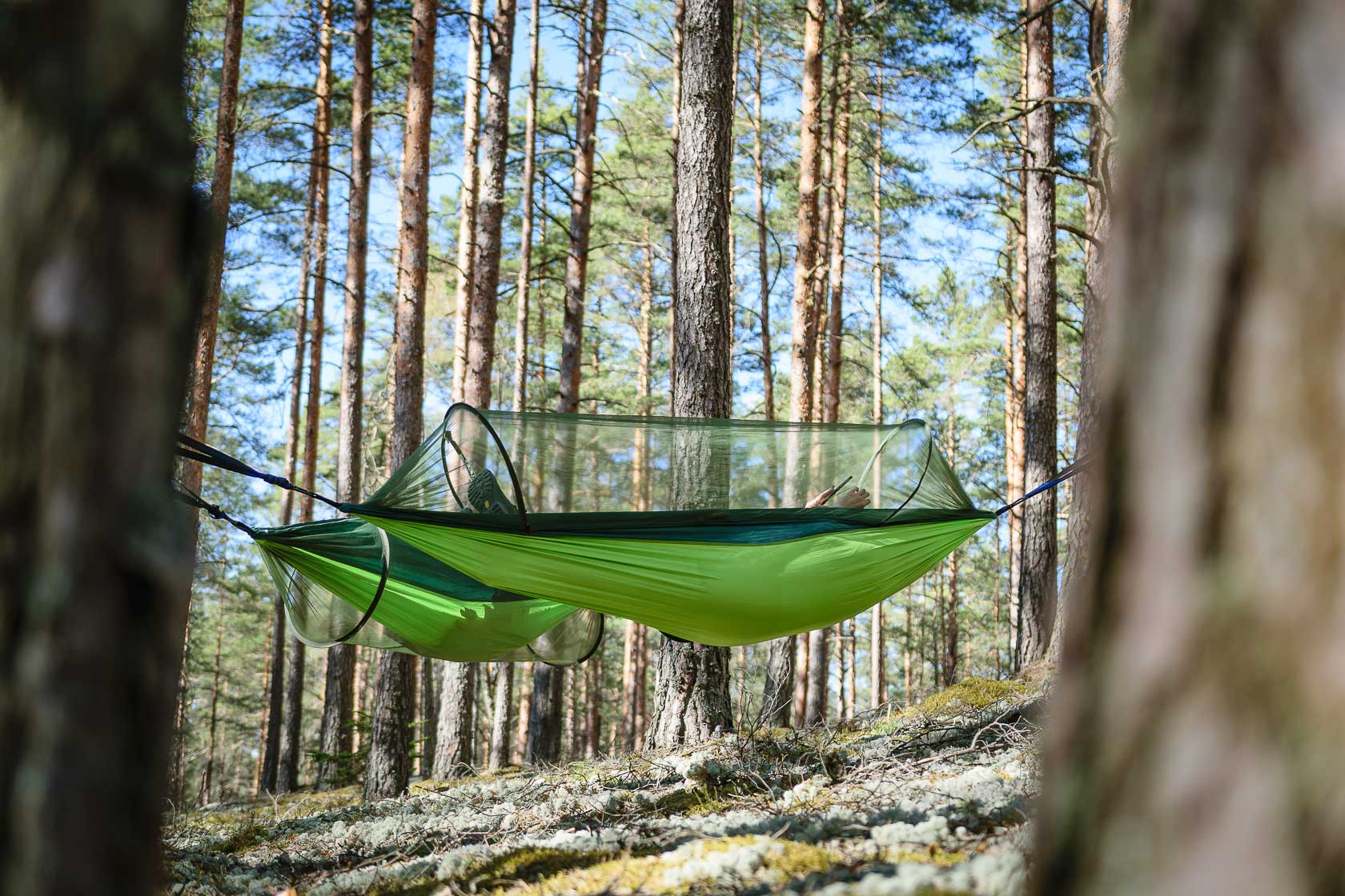 Forest bathing experience in Latvia - Hammock