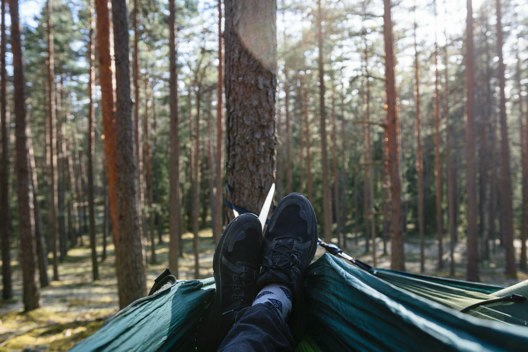 Forest bathing experience in Latvia