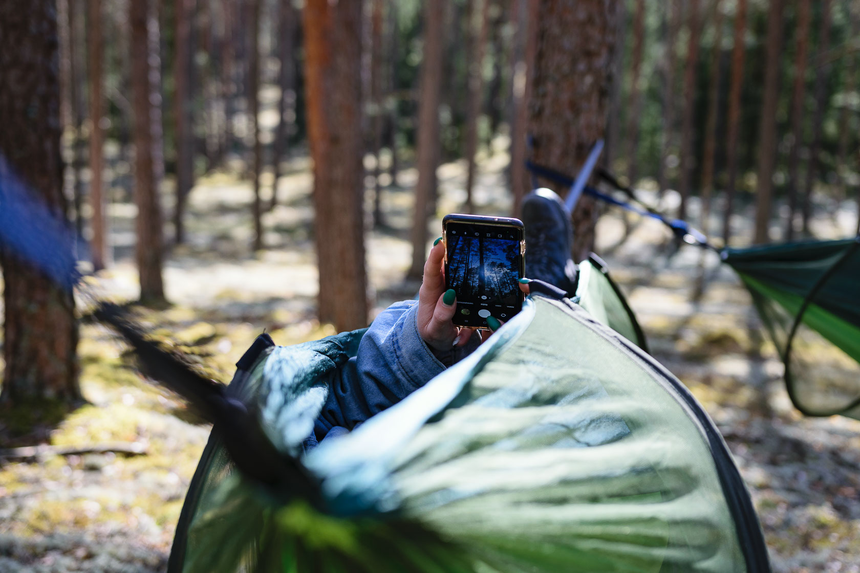 Forest bathing experience in Latvia