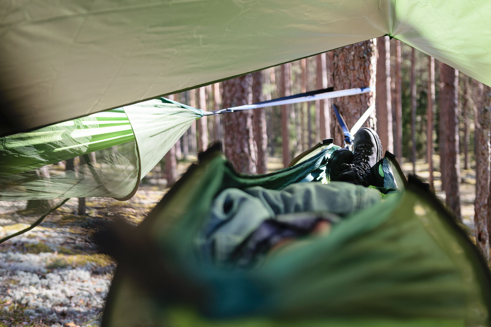 Forest bathing experience in Latvia