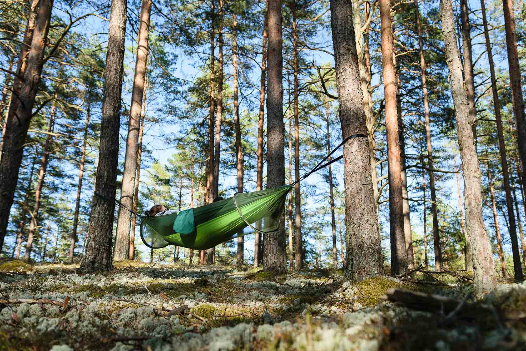 Forest bathing experience in Latvia