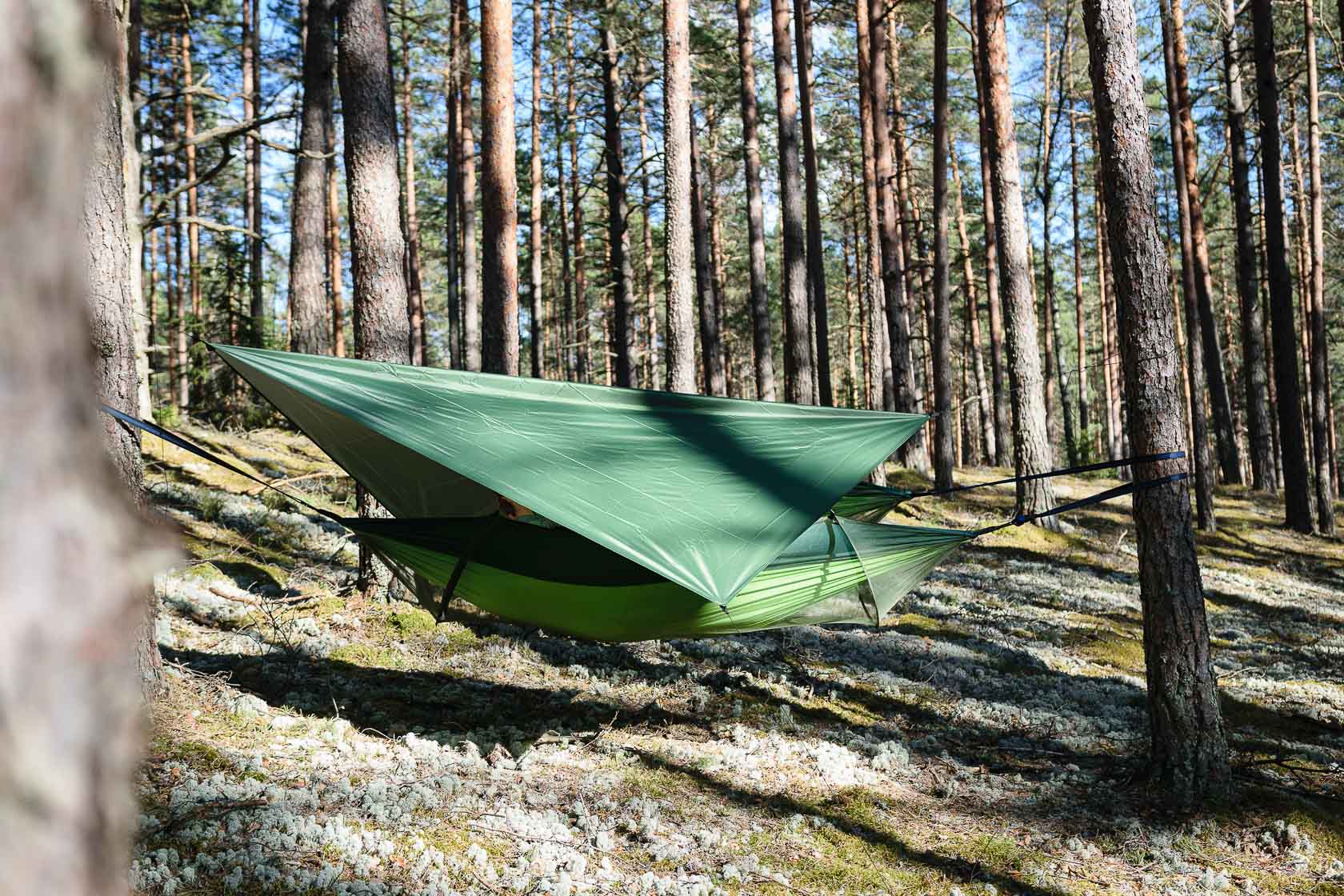 Forest bathing experience in Latvia