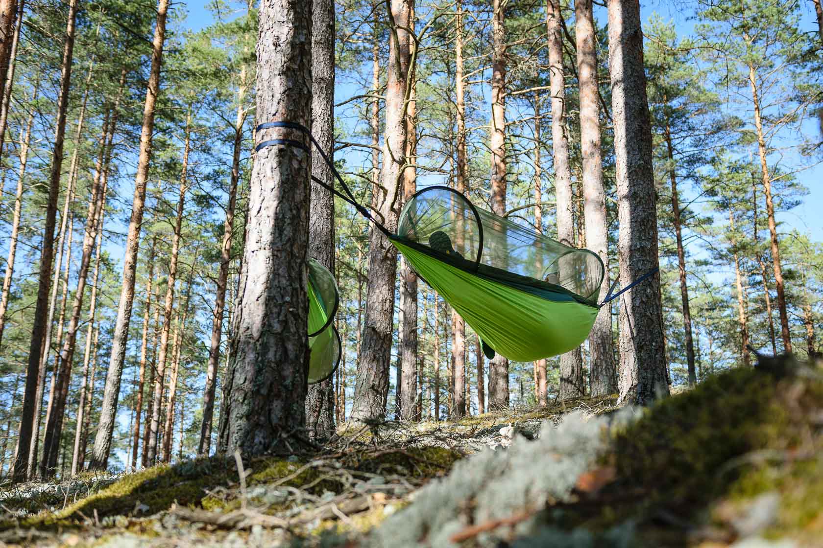 Forest bathing experience in Latvia