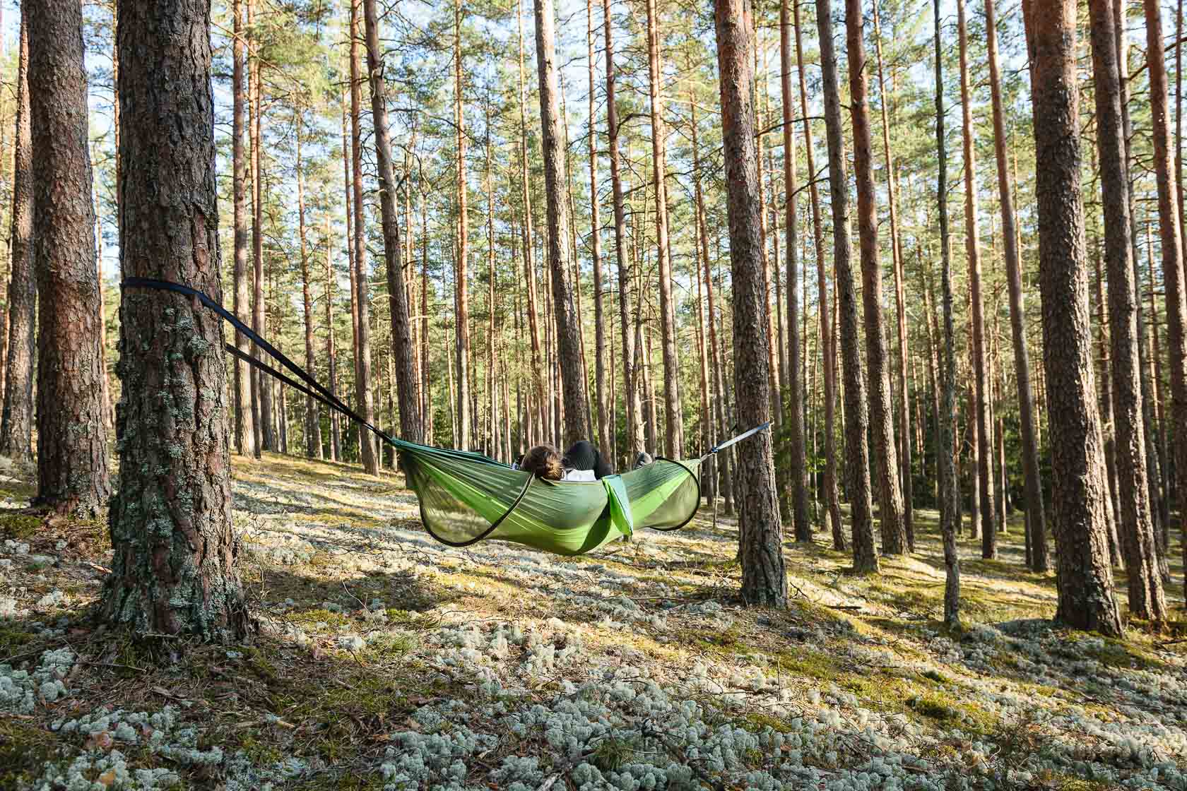 Forest bathing experience in Latvia