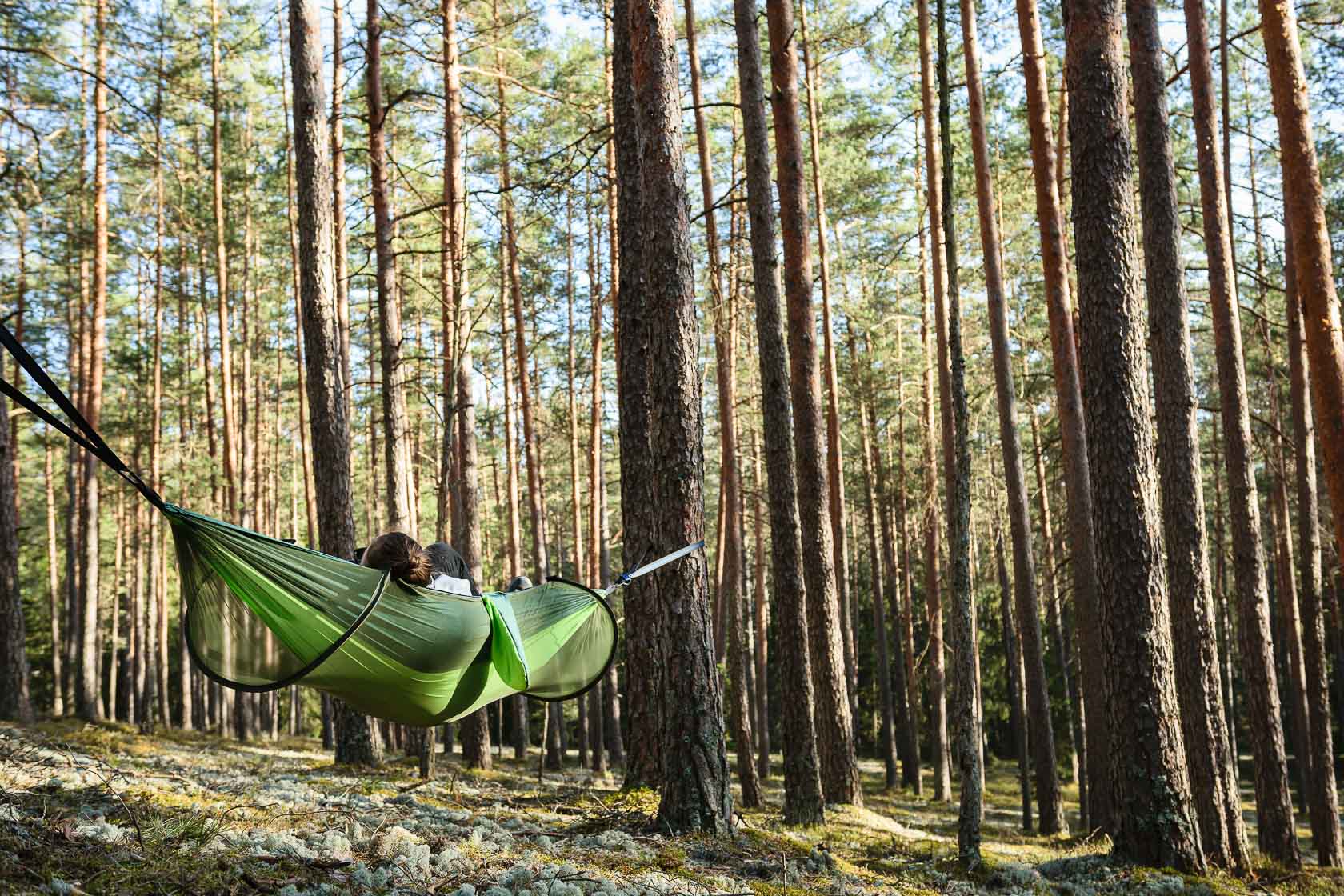 Forest bathing experience in Latvia