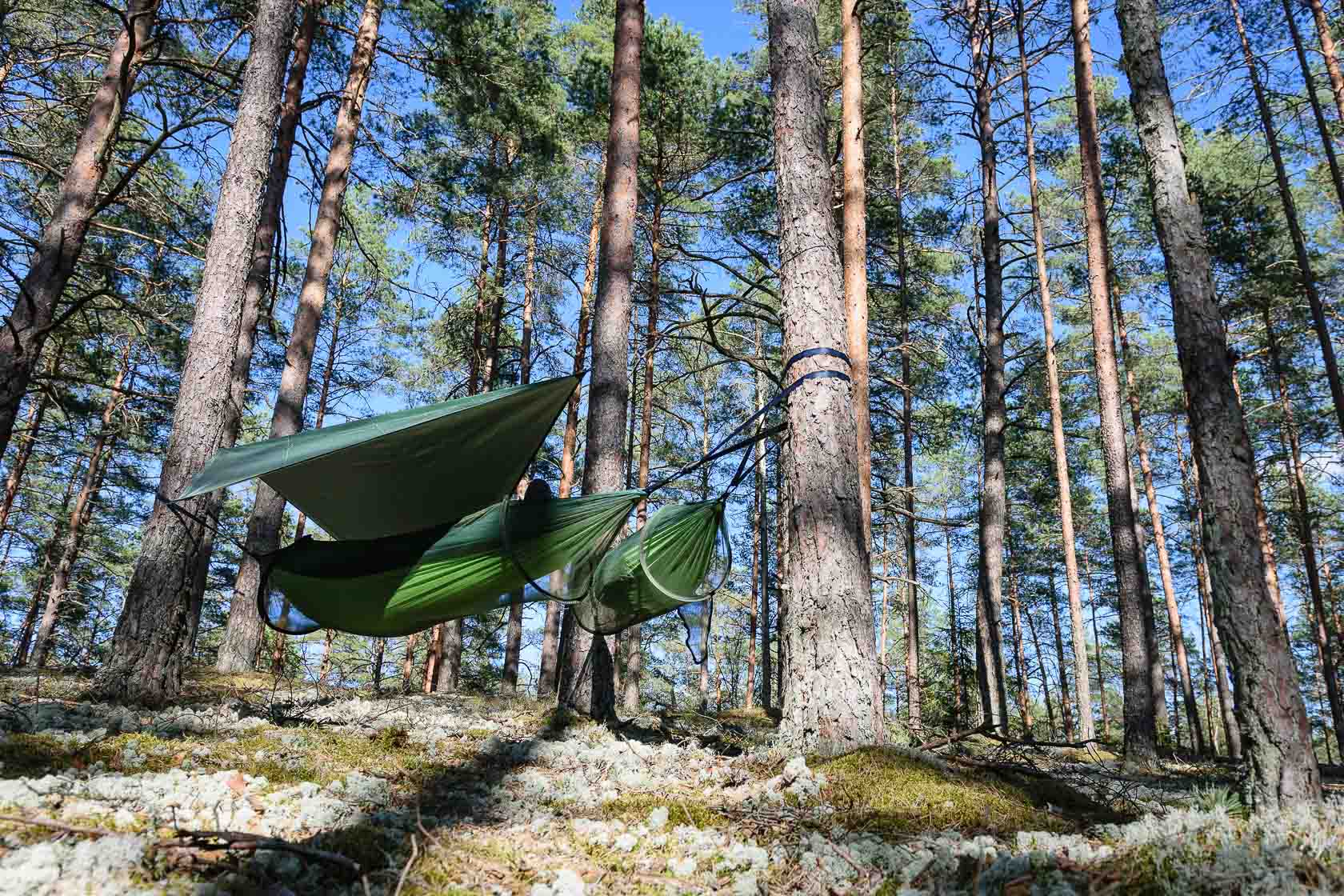 Forest bathing experience in Latvia
