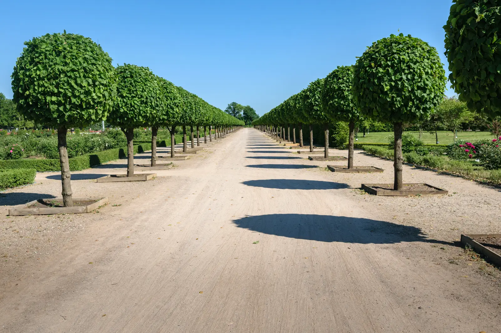 Rundale & Mezotne Palaces, Bauska Castle Tour
