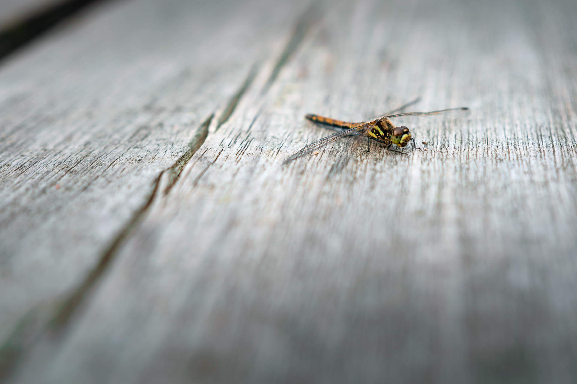 Kemeri National Park