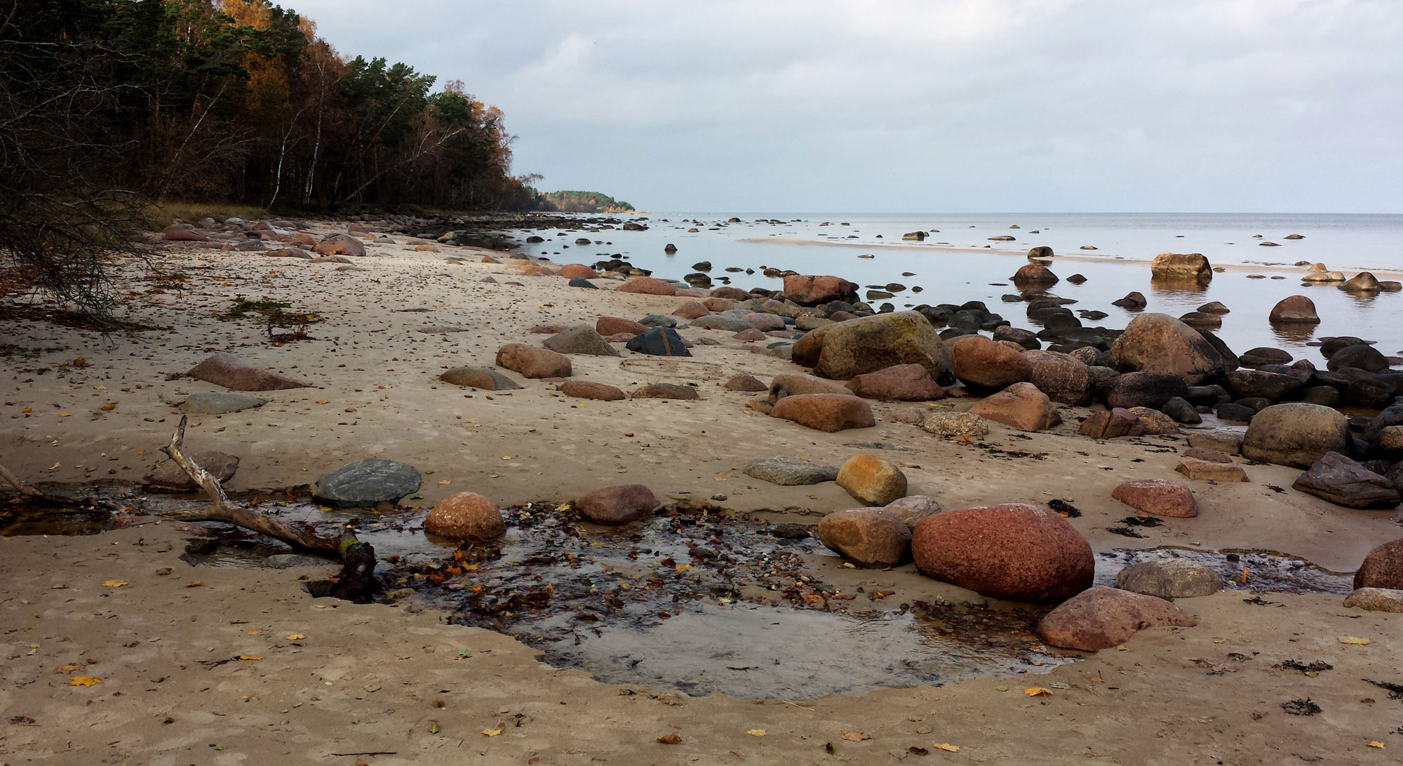 Latvia Seaside Tour in Kaltene