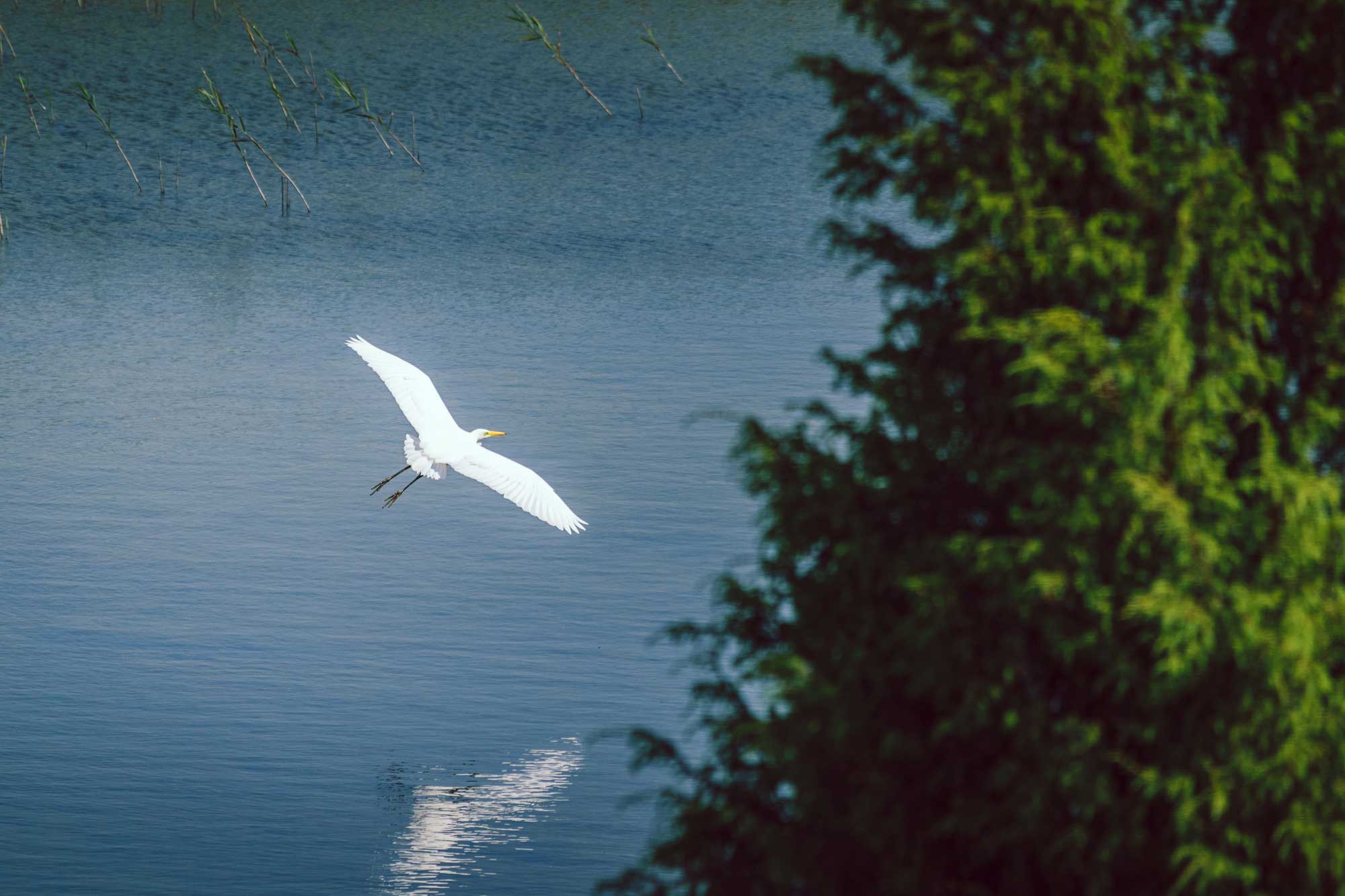 Kemeri National Park