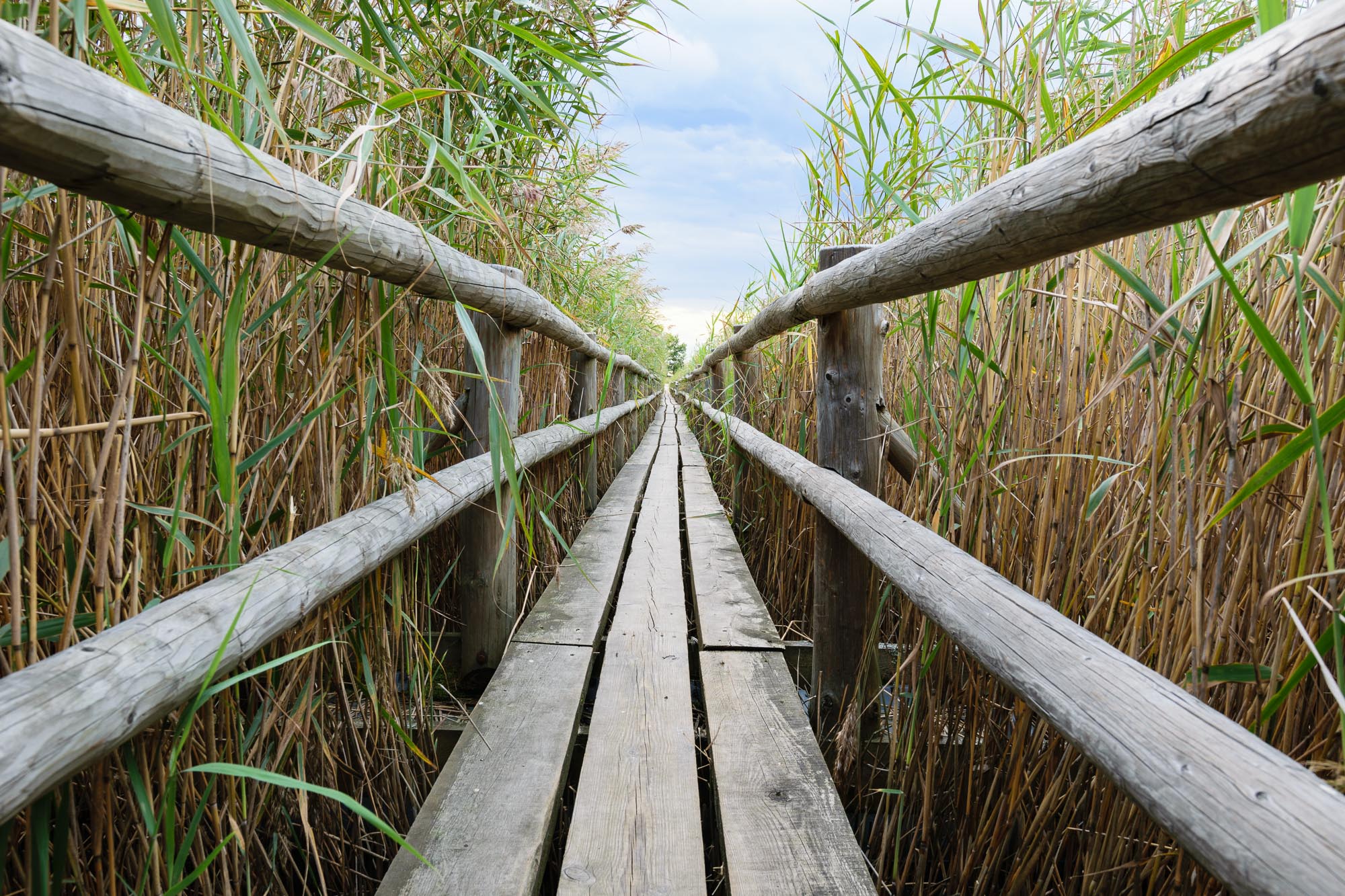 Kemeri National Park