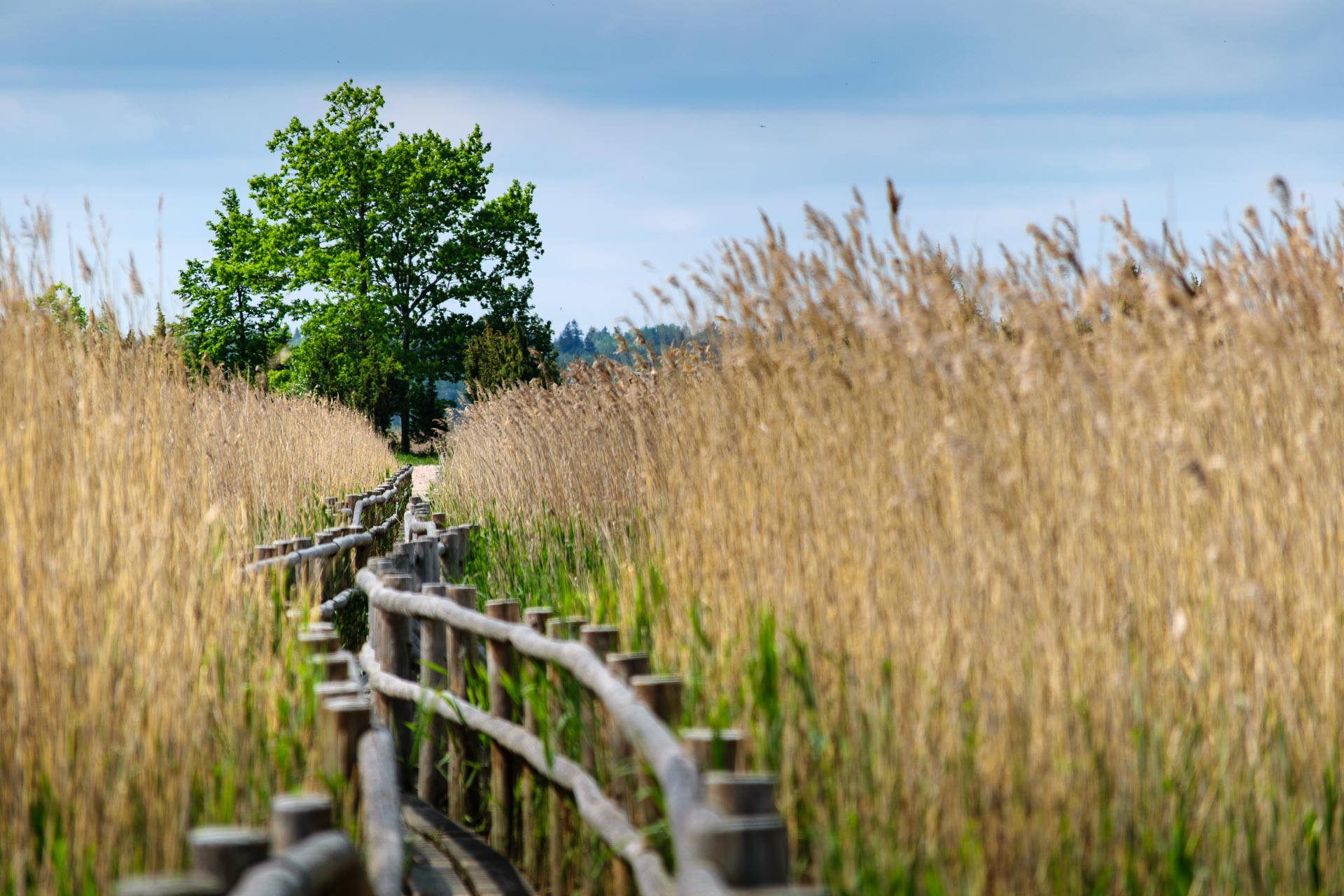 Kemeri National Park