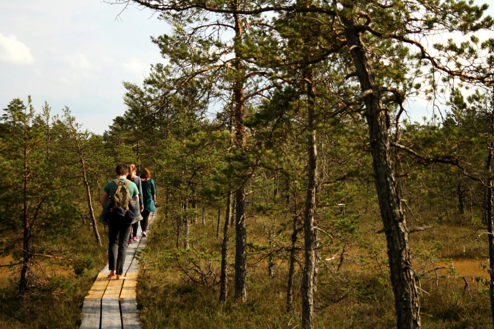 Kemeri National Park