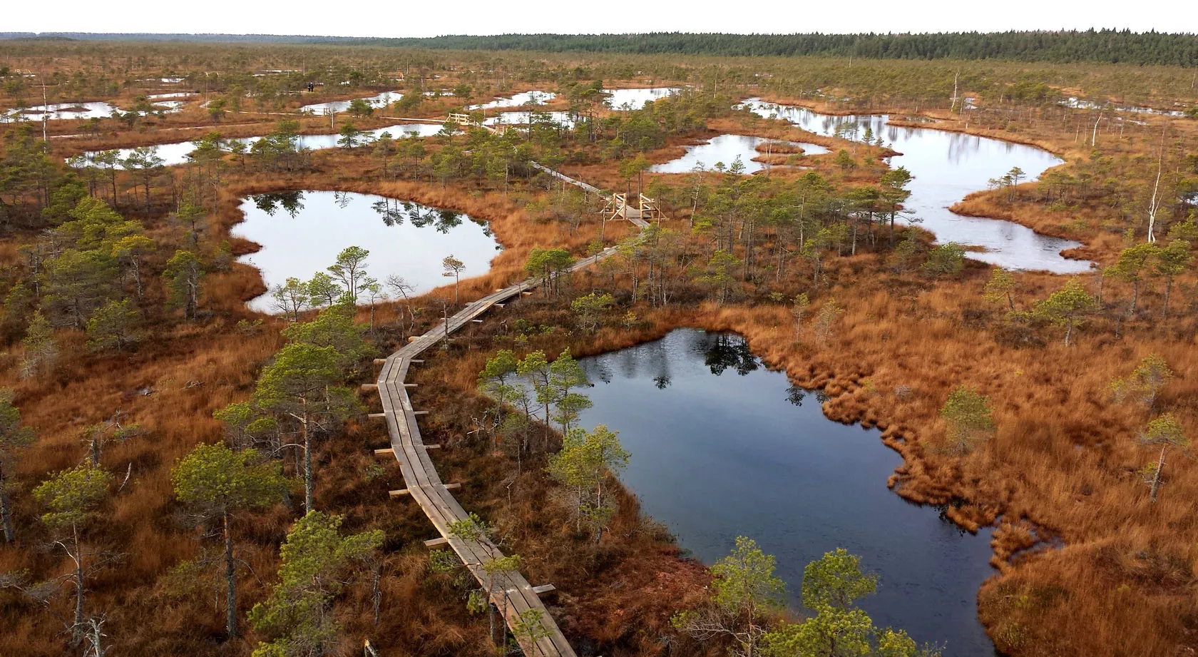 Kemeri National Park
