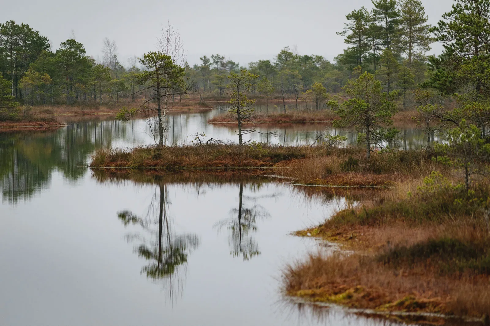 Kemeri National Park
