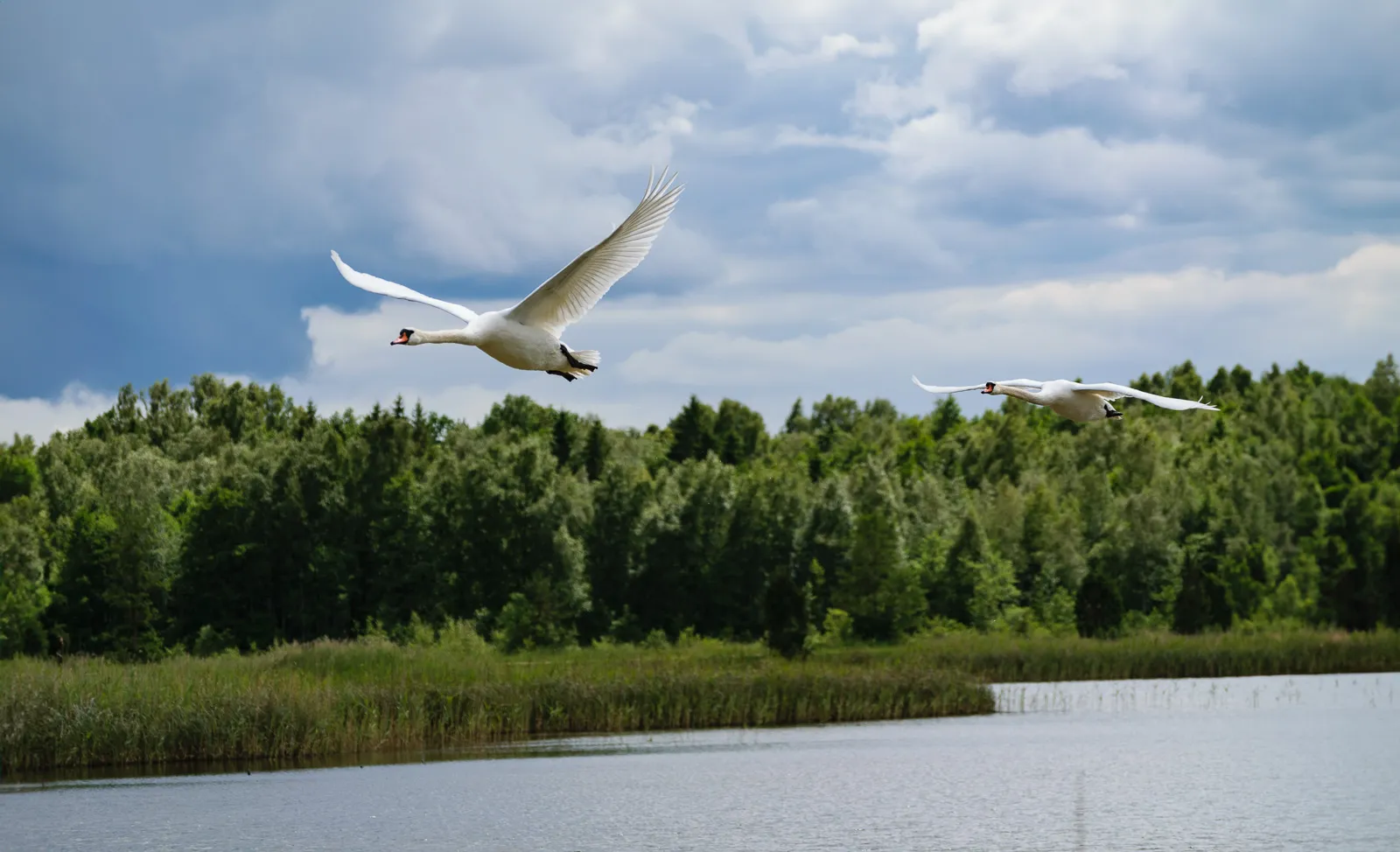 Kemeri National Park