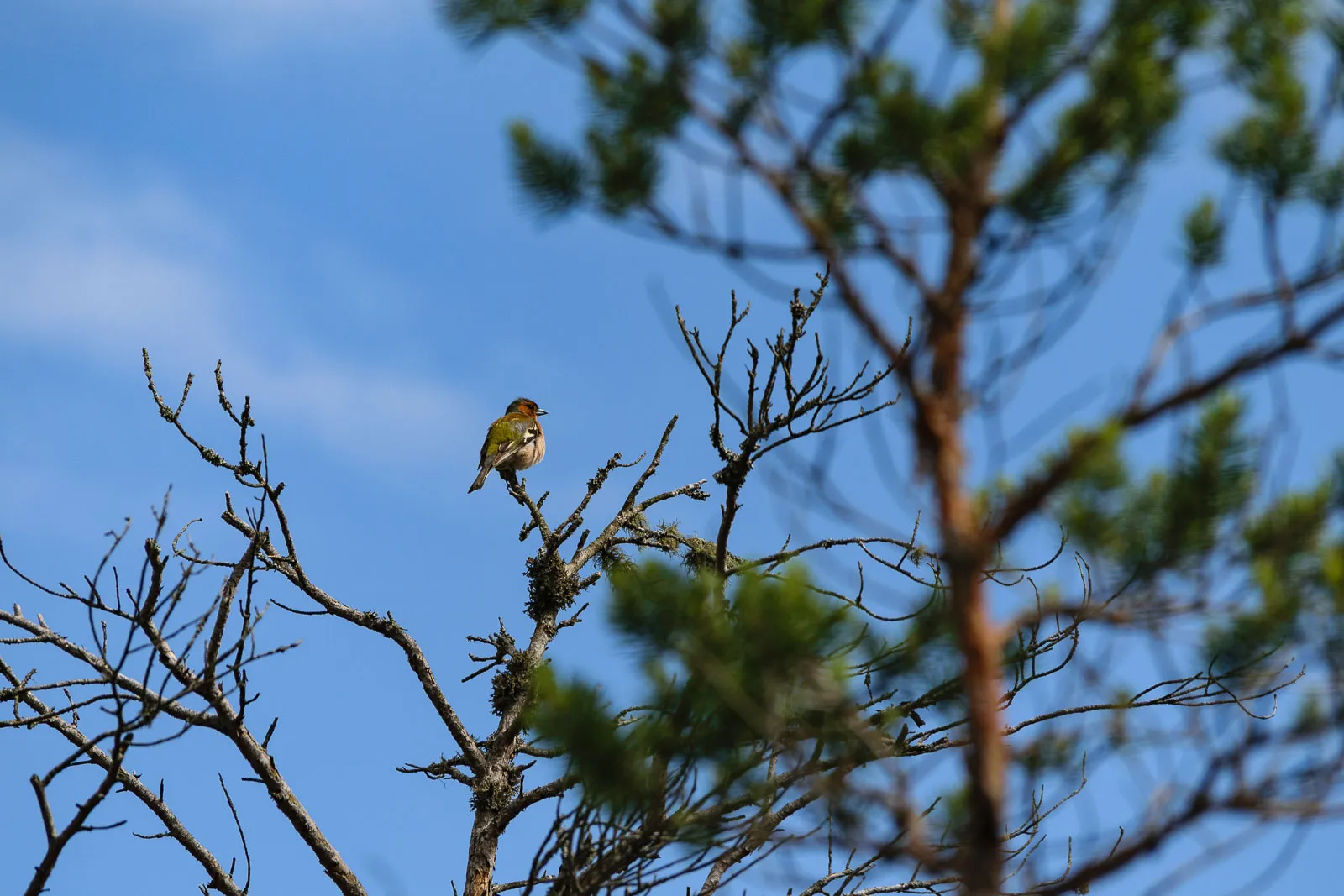 Kemeri National Park