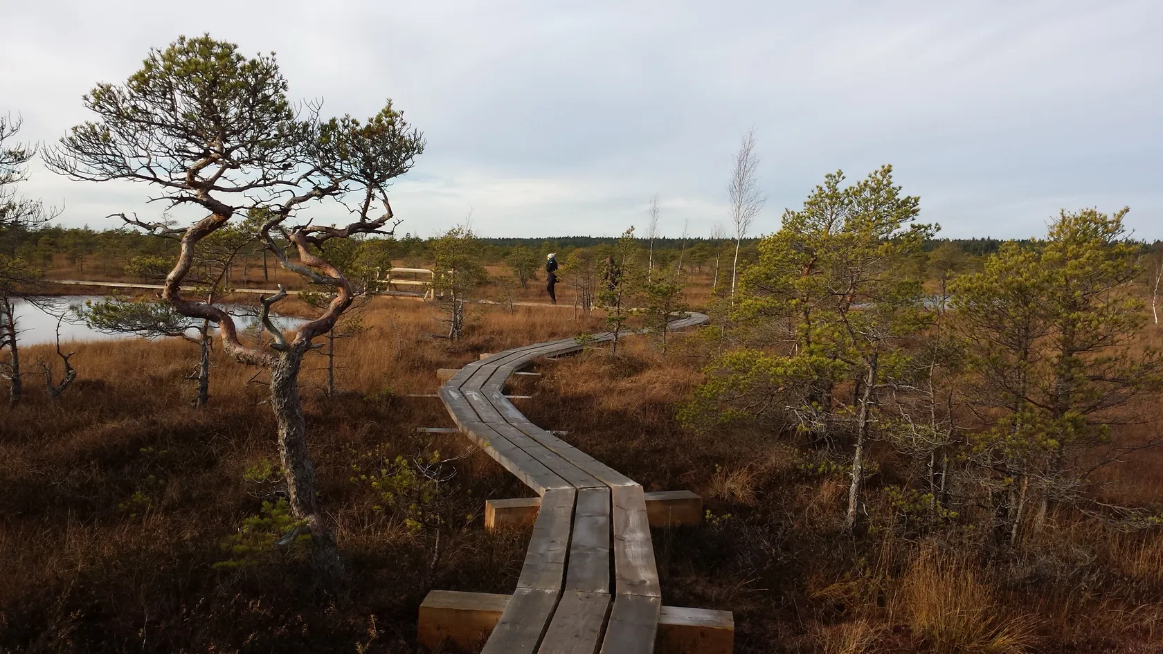 Kemeri National Park