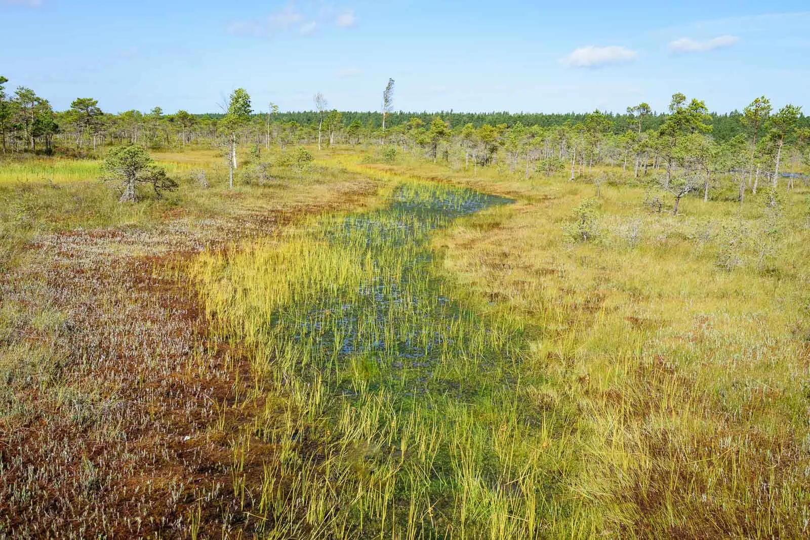 Kemeri National Park