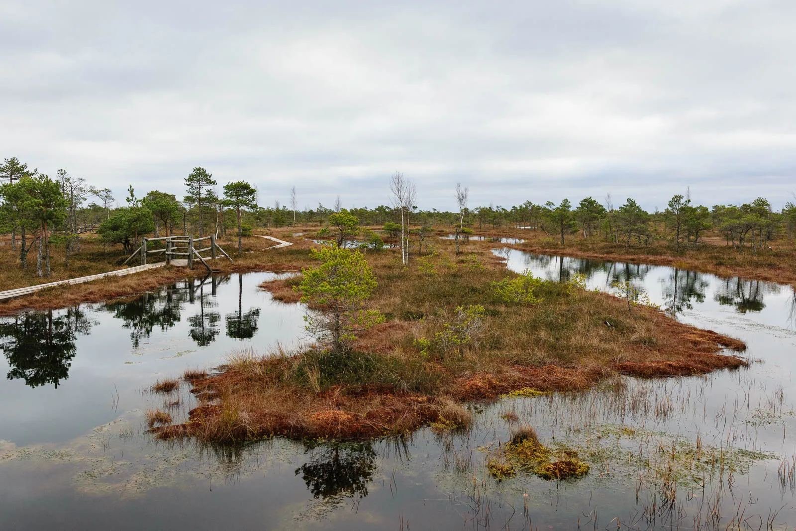 Kemeri National Park