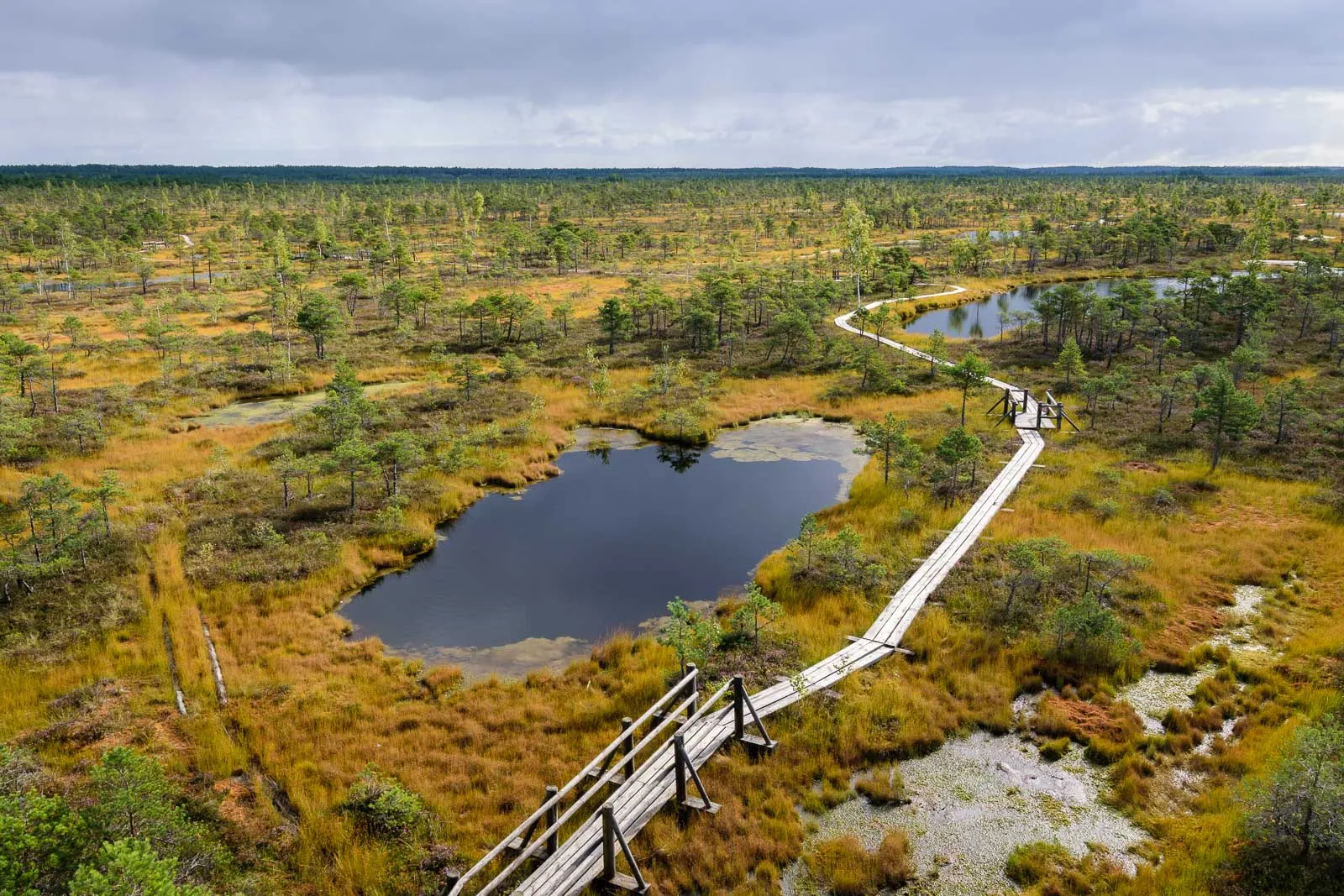 Kemeri National Park