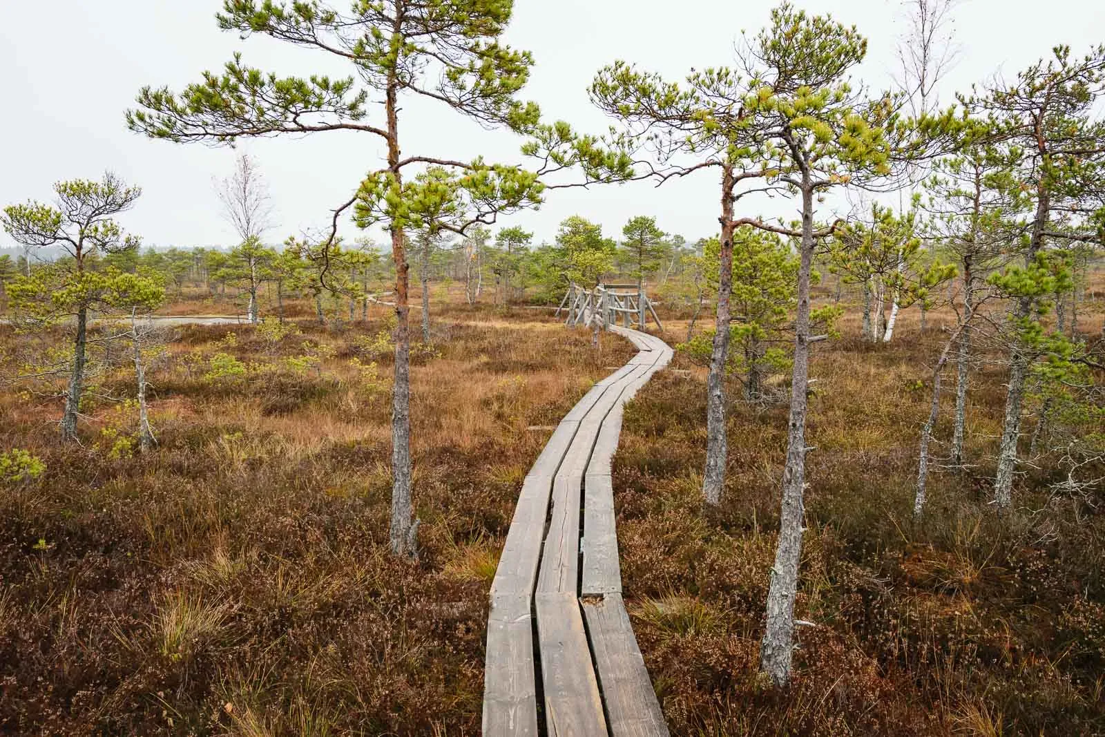 Kemeri National Park