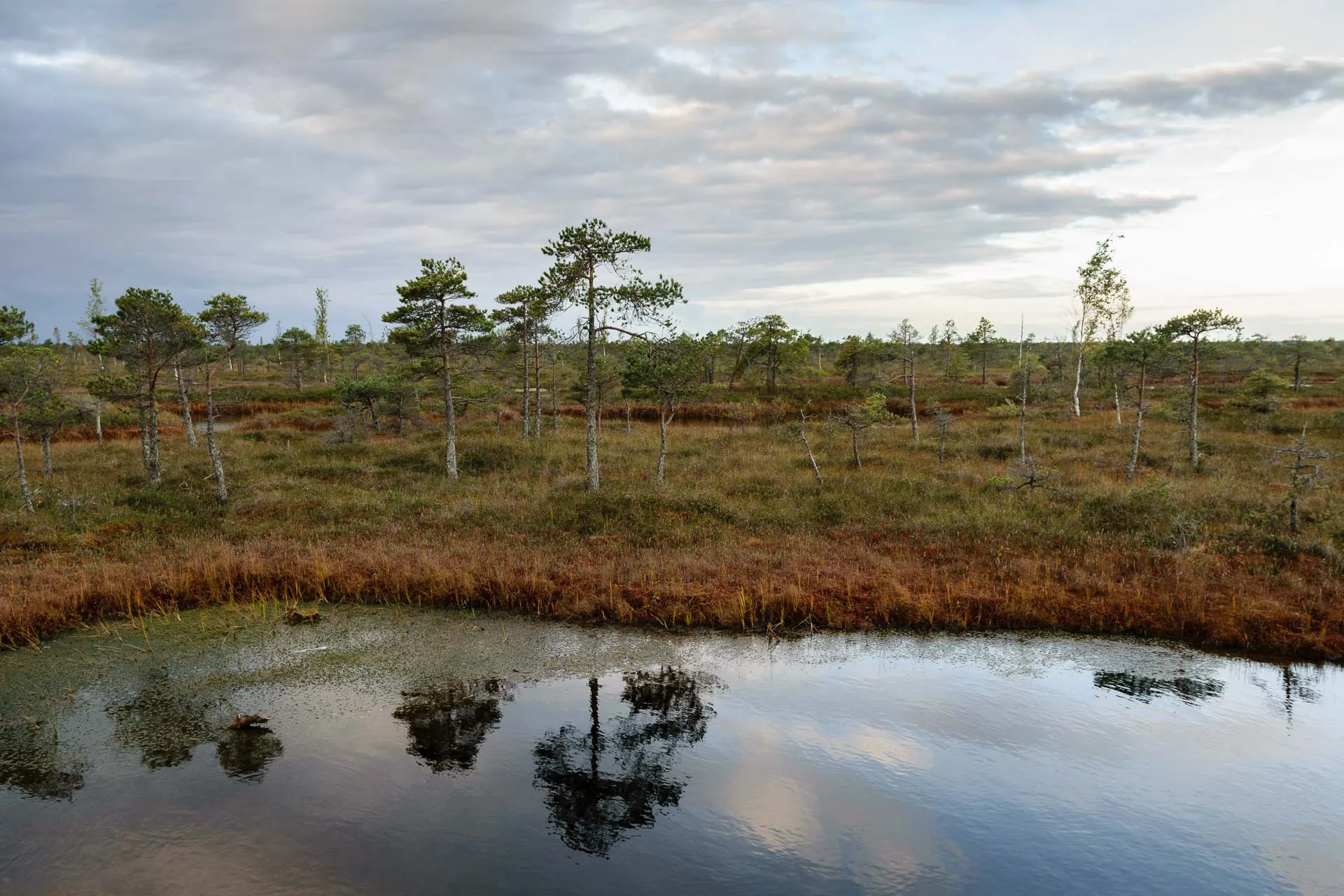 Kemeri National Park