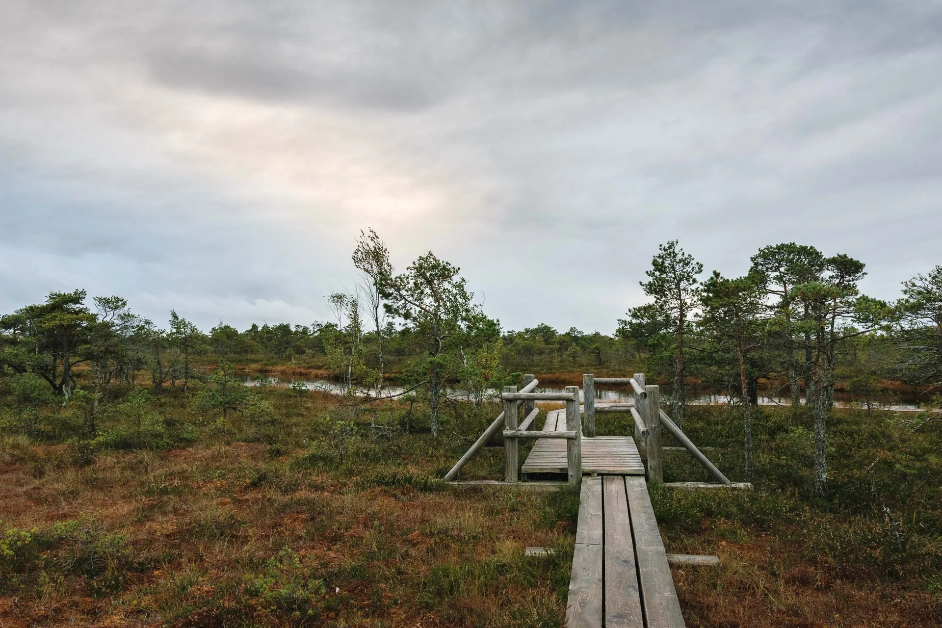 Kemeri National Park