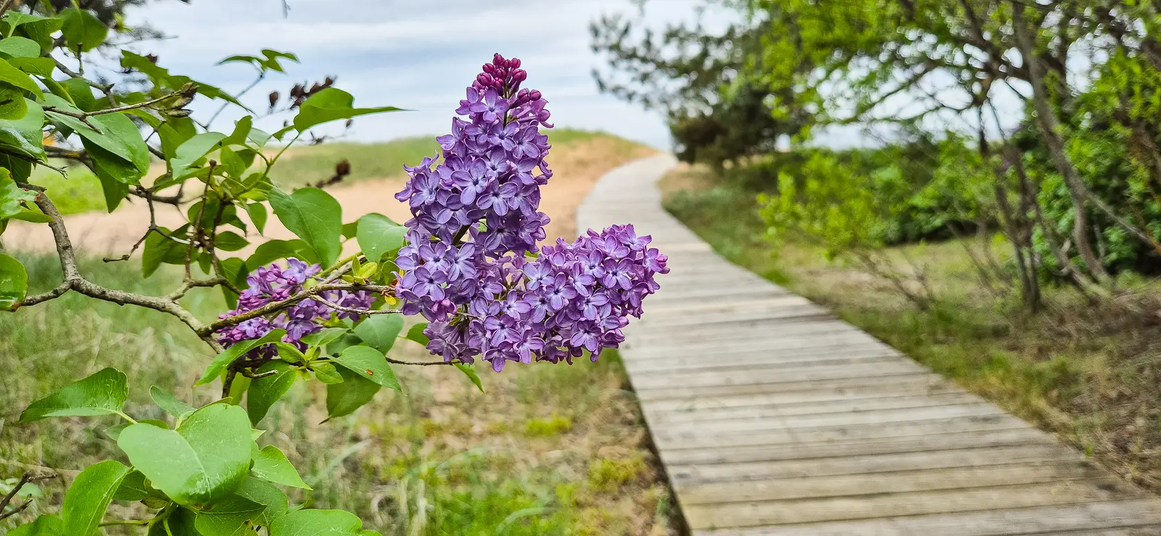 Latvia’s Wild Seaside Escape–Walk, Swim & Cross into Estonia