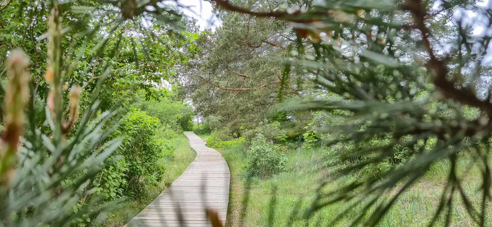 Latvia’s Wild Seaside Escape–Walk, Swim & Cross into Estonia