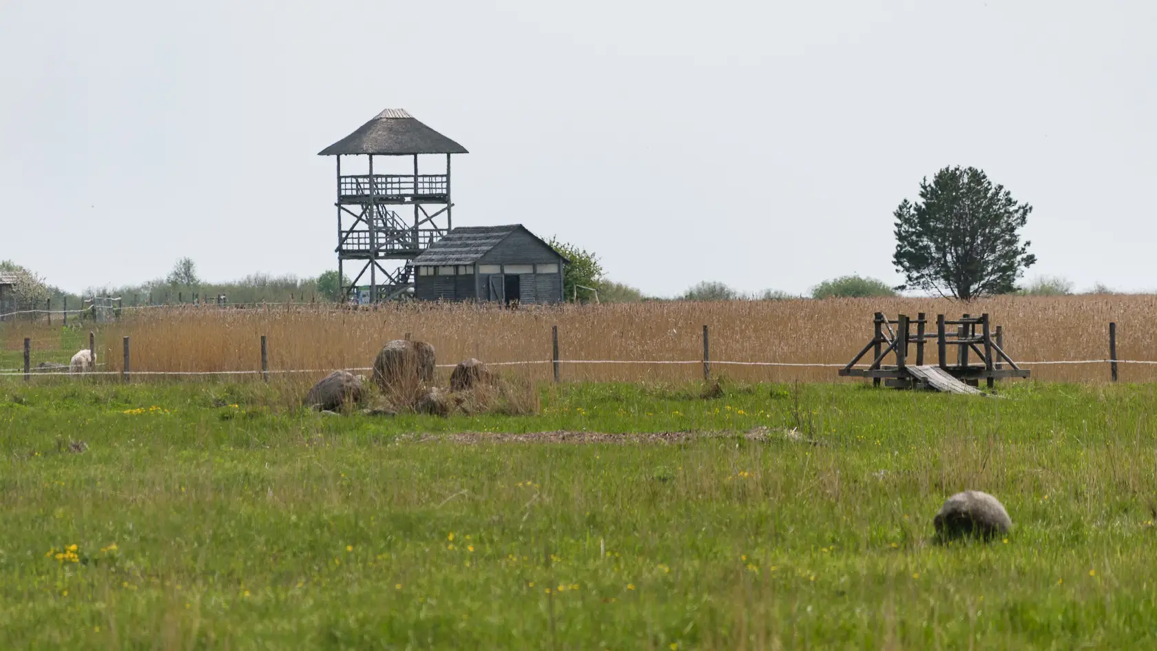 Latvia’s Wild Seaside Escape–Walk, Swim & Cross into Estonia
