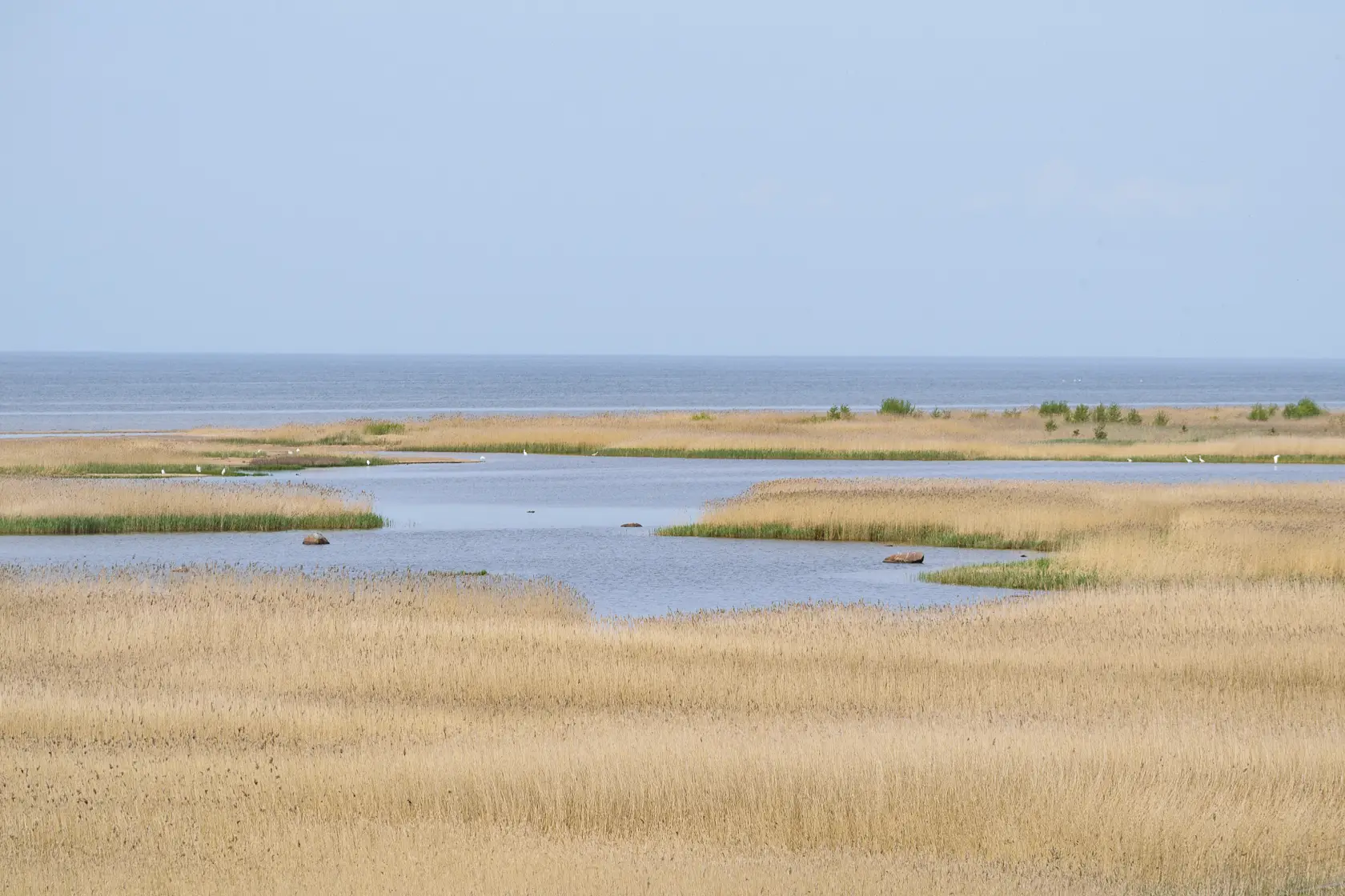 Latvia’s Wild Seaside Escape–Walk, Swim & Cross into Estonia