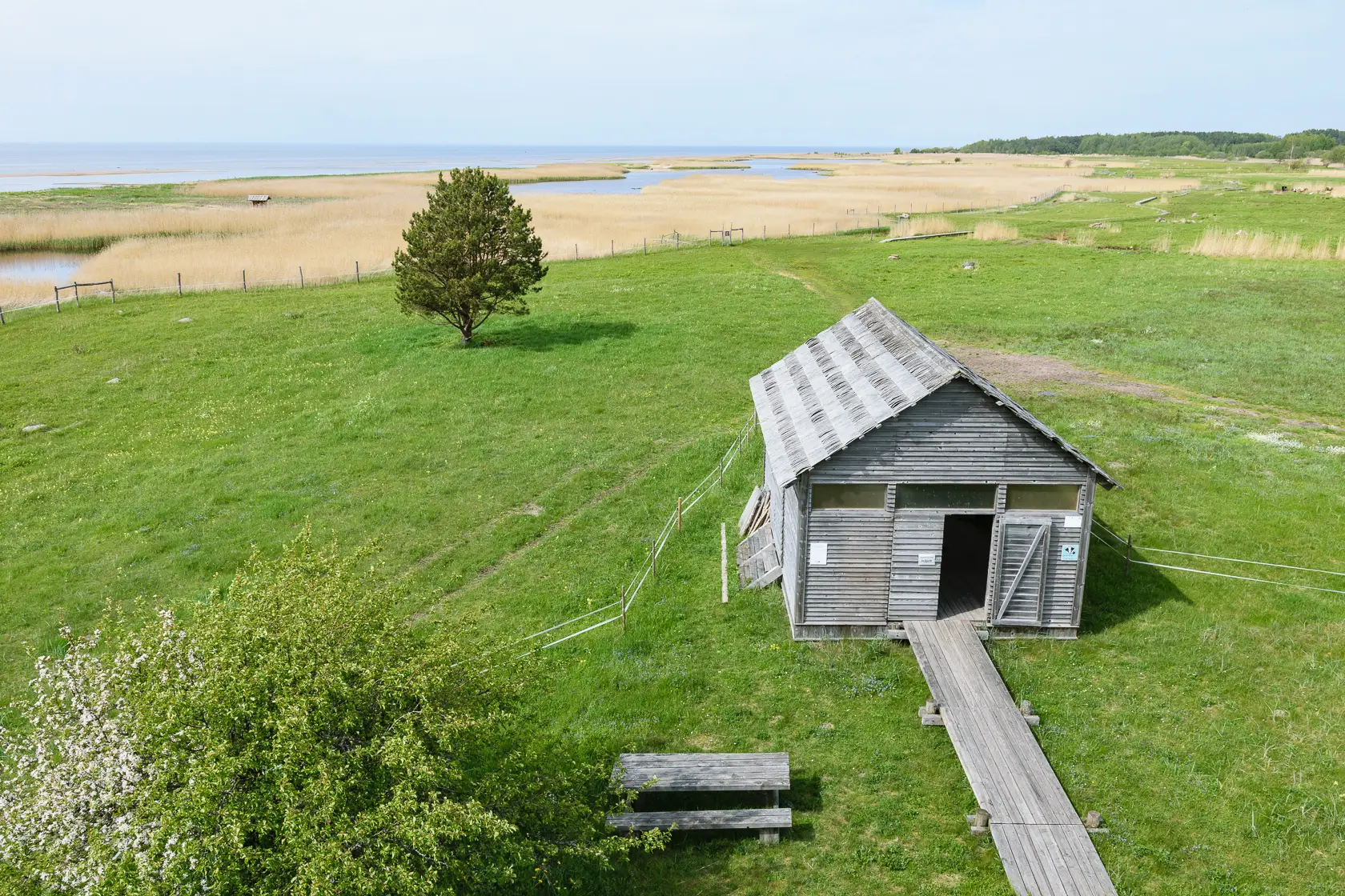 Latvia’s Wild Seaside Escape–Walk, Swim & Cross into Estonia
