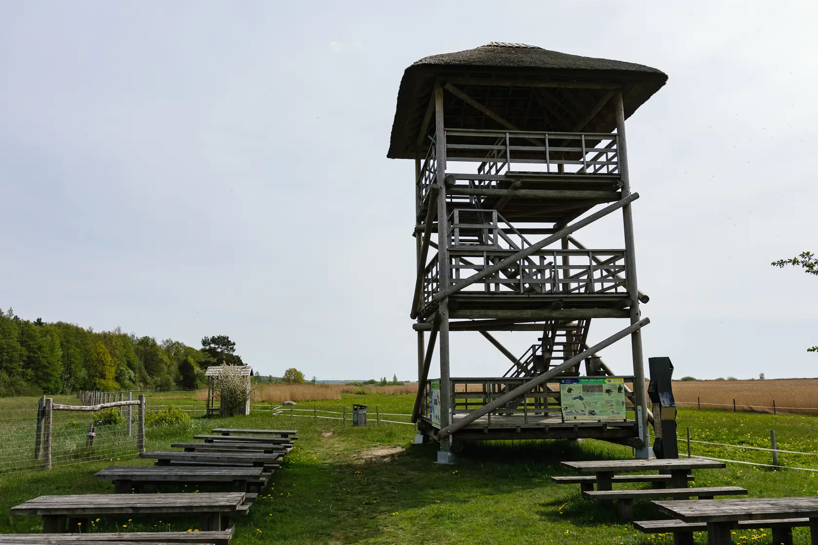 Latvia’s Wild Seaside Escape–Walk, Swim & Cross into Estonia