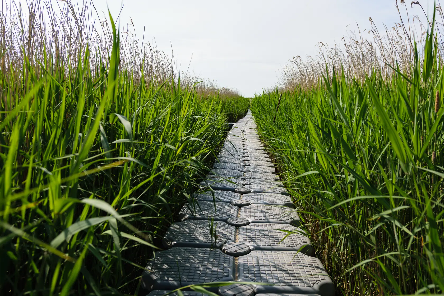 Latvia’s Wild Seaside Escape–Walk, Swim & Cross into Estonia
