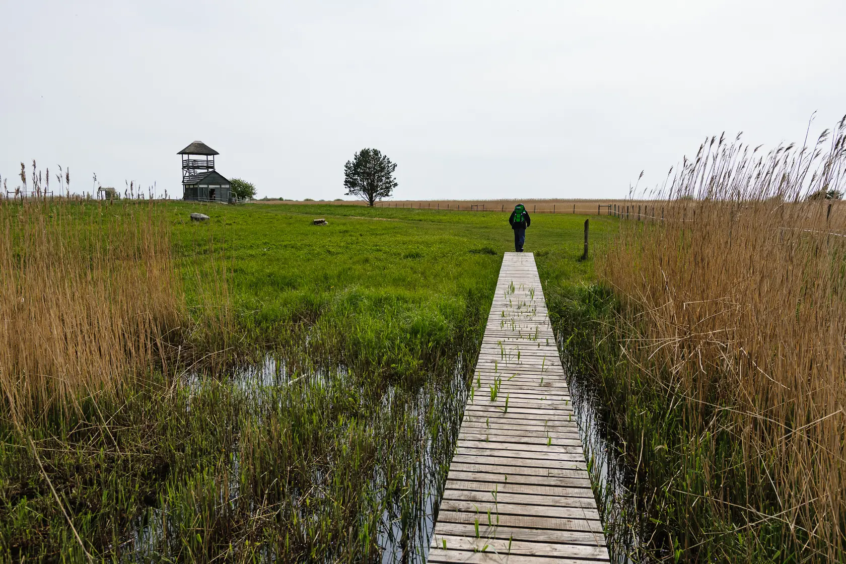 Latvia’s Wild Seaside Escape–Walk, Swim & Cross into Estonia