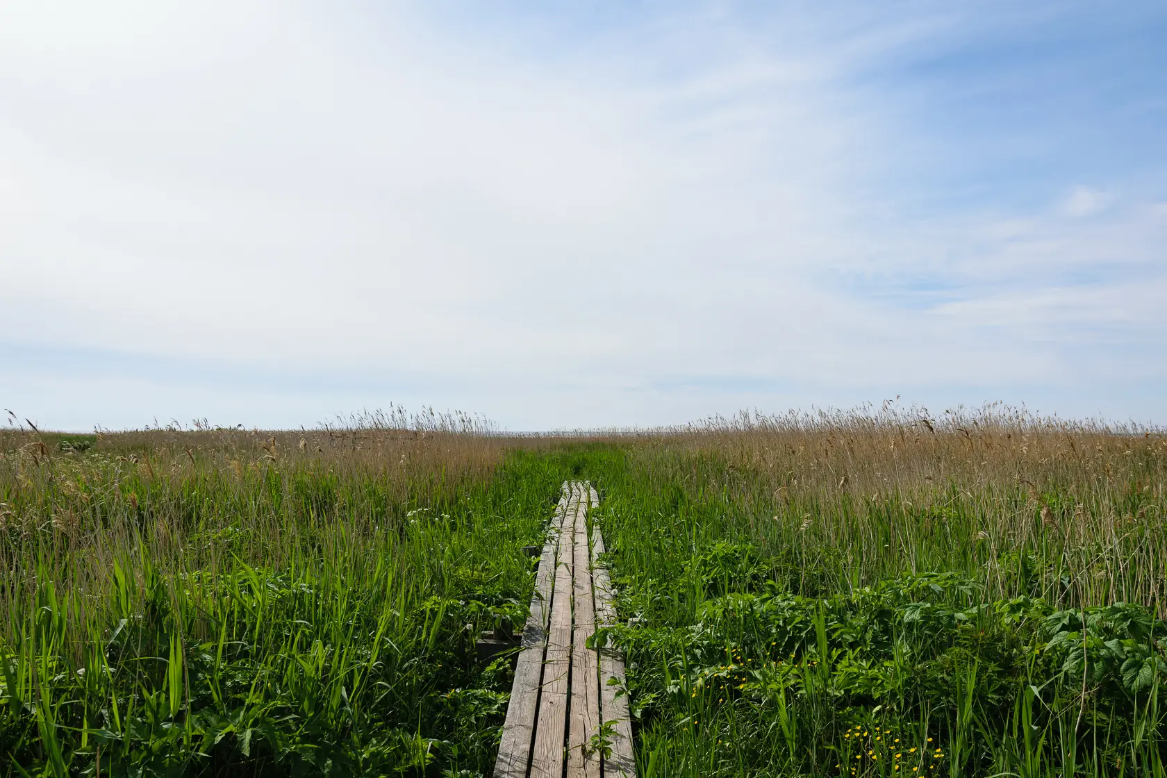 Latvia’s Wild Seaside Escape–Walk, Swim & Cross into Estonia