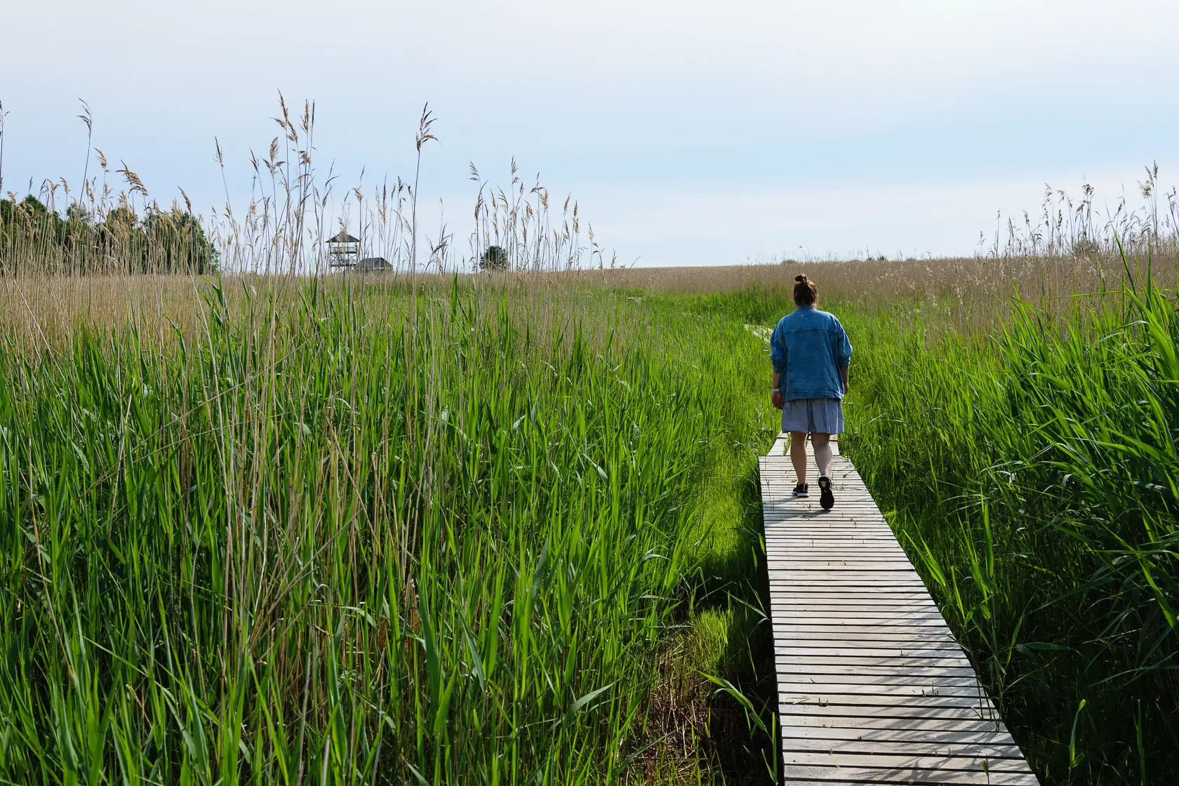 Latvia’s Wild Seaside Escape–Walk, Swim & Cross into Estonia