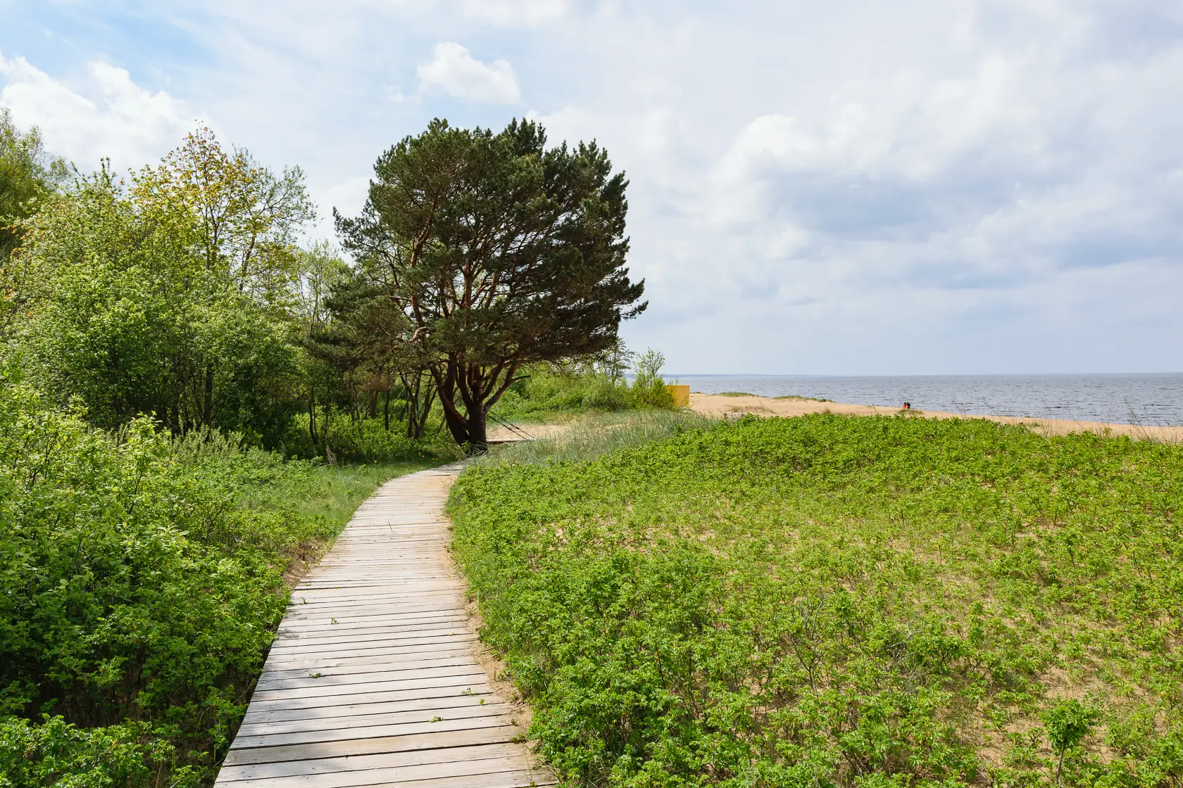 Latvia’s Wild Seaside Escape–Walk, Swim & Cross into Estonia