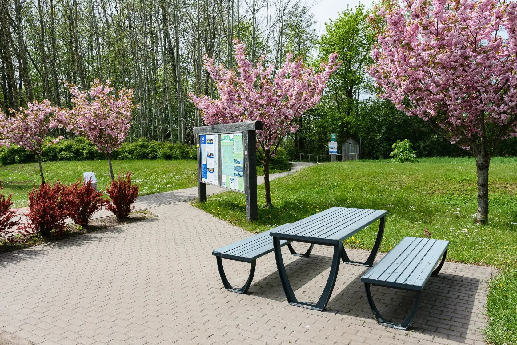 Latvia’s Wild Seaside Escape–Walk, Swim & Cross into Estonia