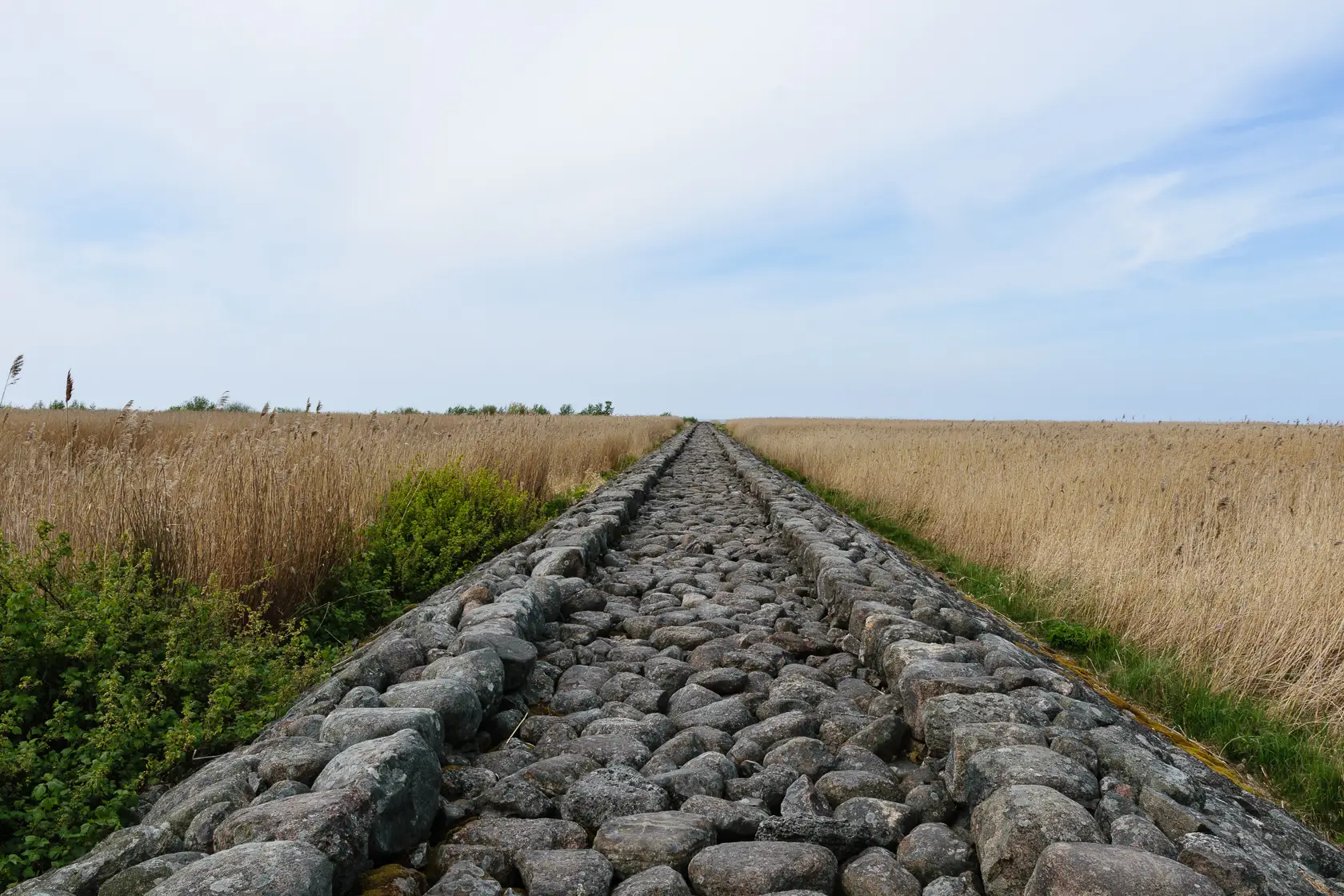 Latvia’s Wild Seaside Escape–Walk, Swim & Cross into Estonia