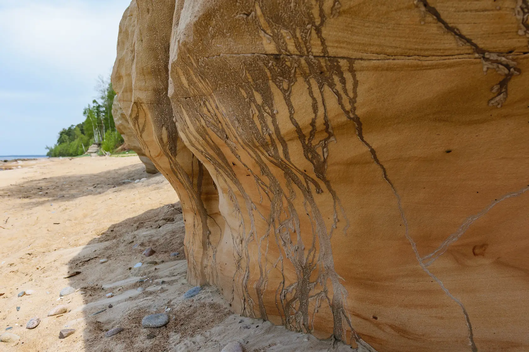 Latvia’s Wild Seaside Escape–Walk, Swim & Cross into Estonia