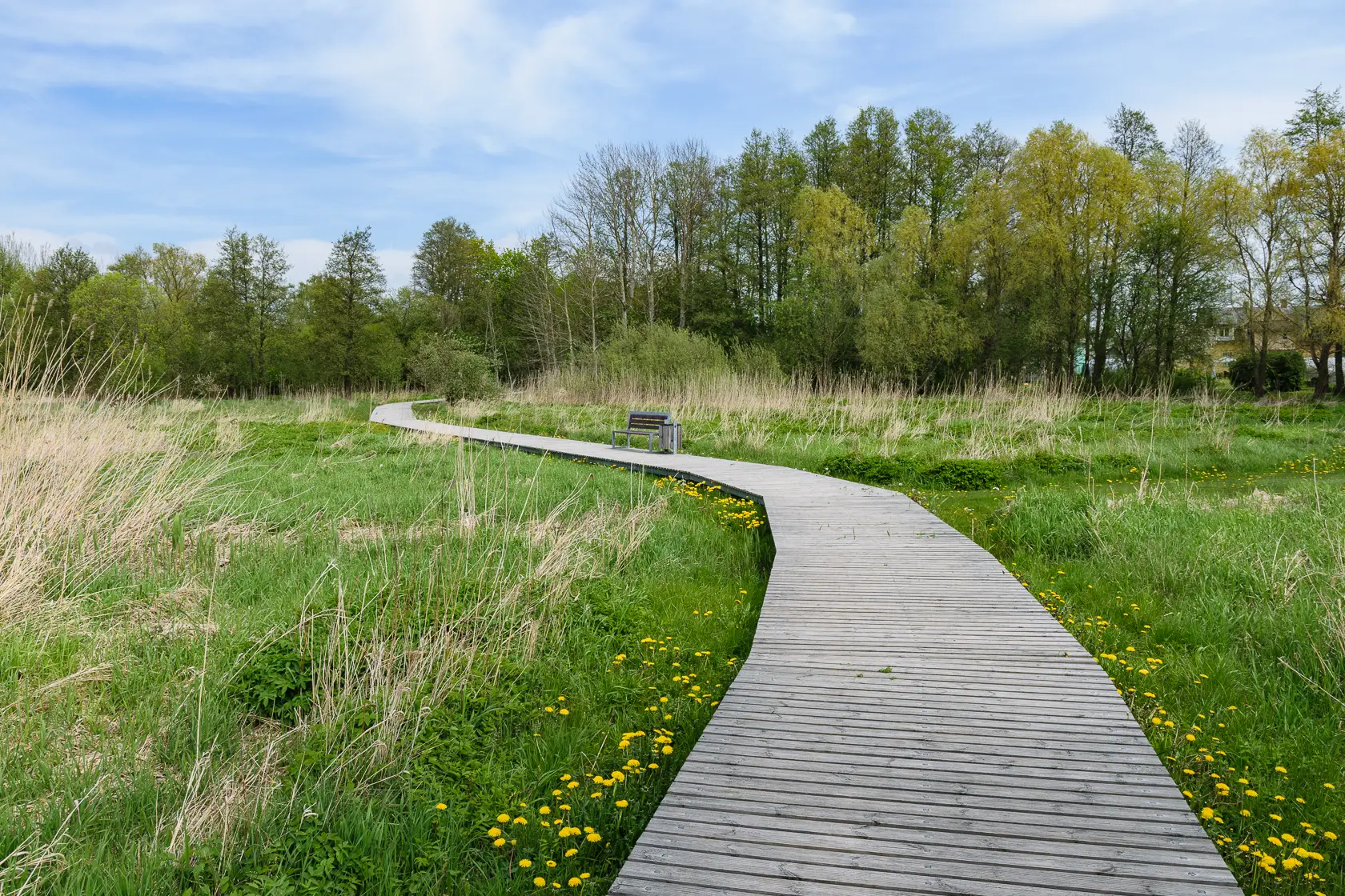 Latvia’s Wild Seaside Escape–Walk, Swim & Cross into Estonia