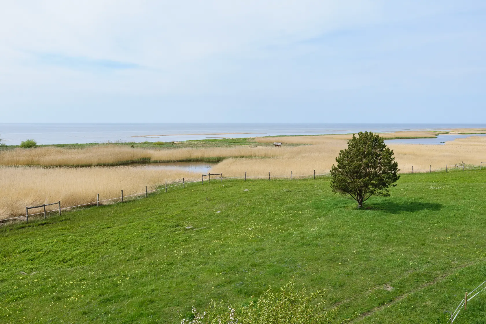 Latvia’s Wild Seaside Escape–Walk, Swim & Cross into Estonia