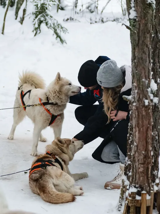 Thanking dogs for the ride