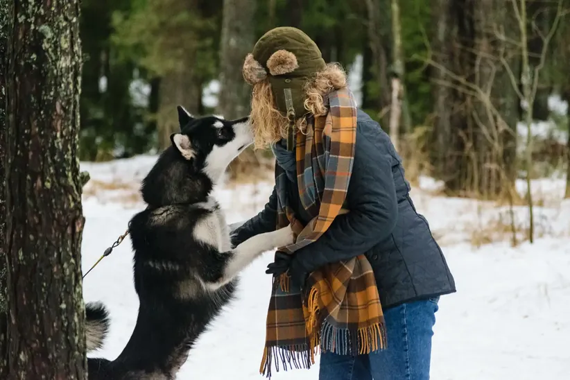 Warmth and affection