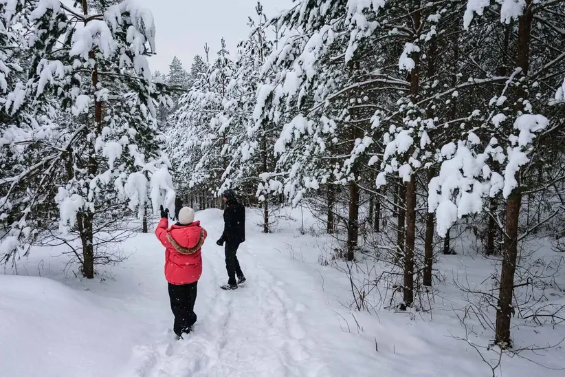 Hiking snow covered forest