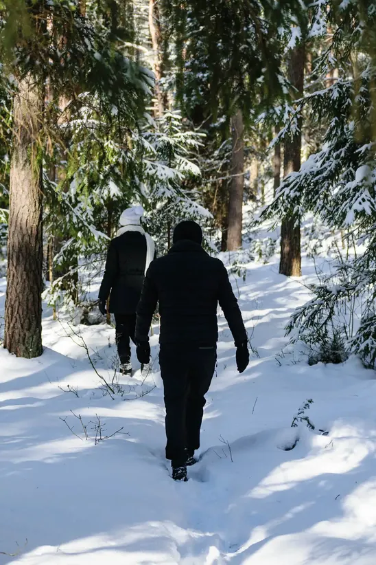 Hiking through forests of Latvia